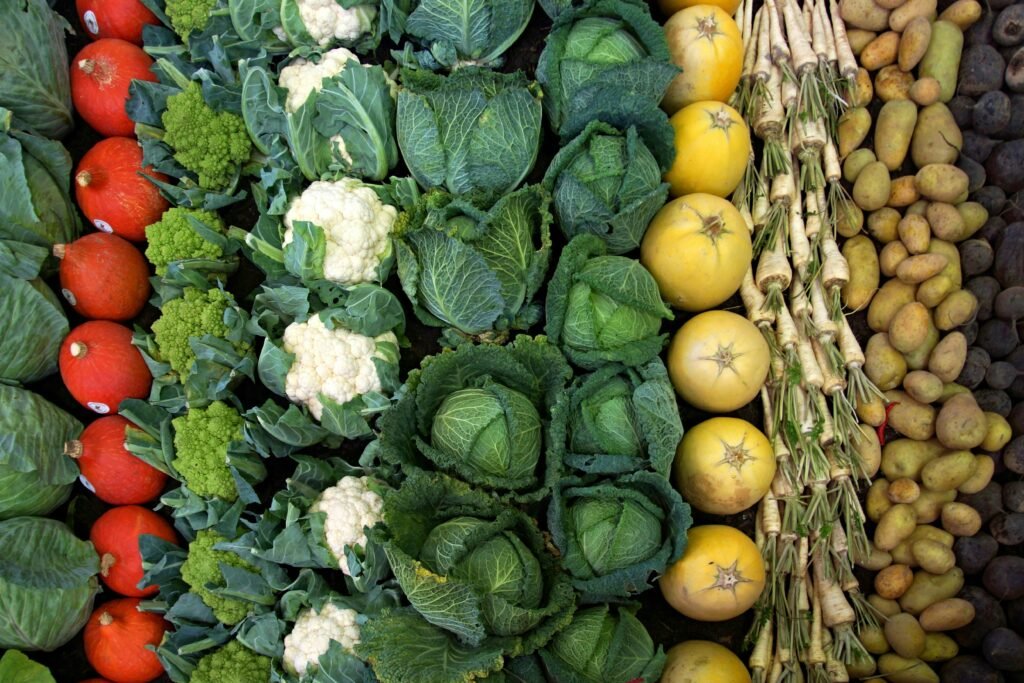 varias verduras o alimentos verduras y ortalizas